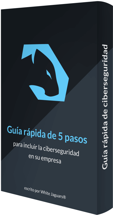 Libro Gratis de Seguridad para CMS