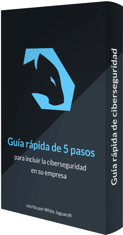Guía de 5 pasos para iniciar en ciberseguridad